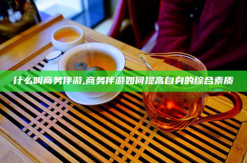 伊川什么叫商务伴游,商务伴游如何提高自身的综合素质