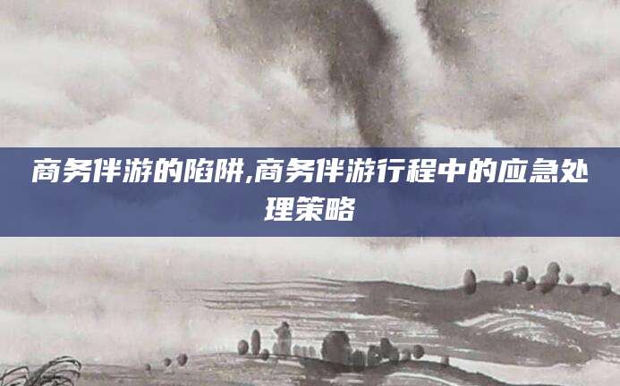 伊川商务伴游的陷阱,商务伴游行程中的应急处理策略